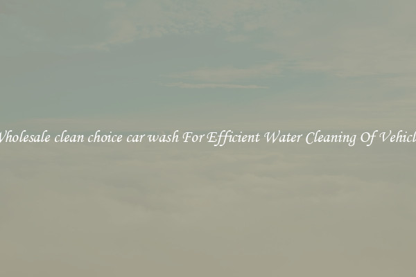 Wholesale clean choice car wash For Efficient Water Cleaning Of Vehicles