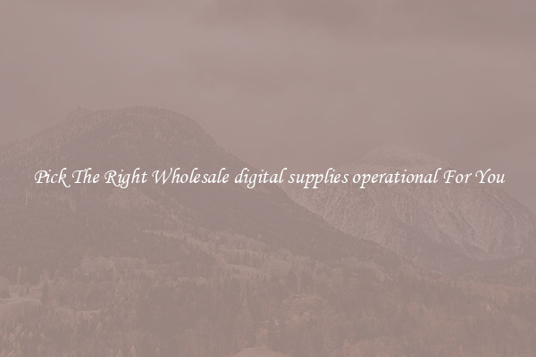 Pick The Right Wholesale digital supplies operational For You