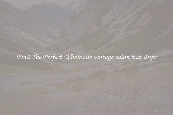 Find The Perfect Wholesale vintage salon hair dryer