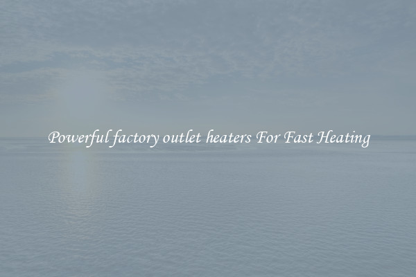 Powerful factory outlet heaters For Fast Heating
