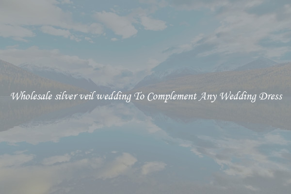 Wholesale silver veil wedding To Complement Any Wedding Dress