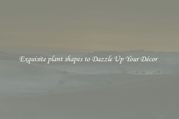 Exquisite plant shapes to Dazzle Up Your Décor  