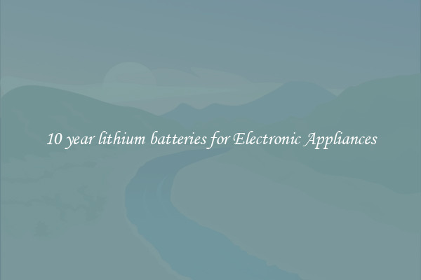 10 year lithium batteries for Electronic Appliances