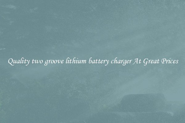 Quality two groove lithium battery charger At Great Prices