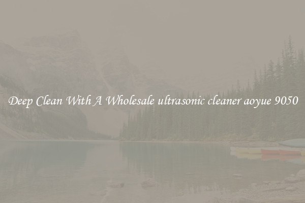 Deep Clean With A Wholesale ultrasonic cleaner aoyue 9050