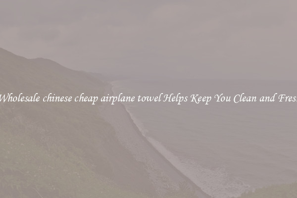 Wholesale chinese cheap airplane towel Helps Keep You Clean and Fresh