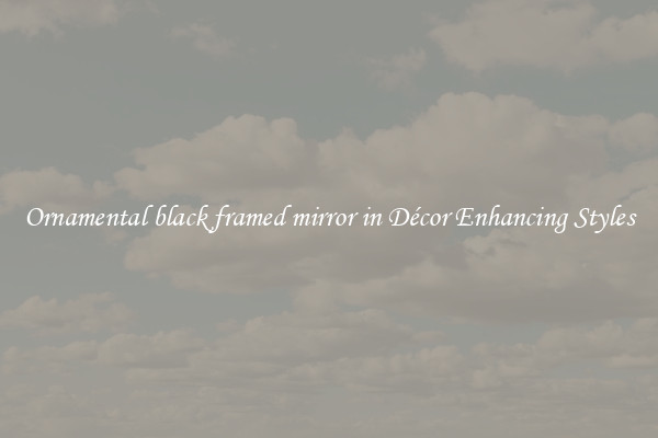 Ornamental black framed mirror in Décor Enhancing Styles