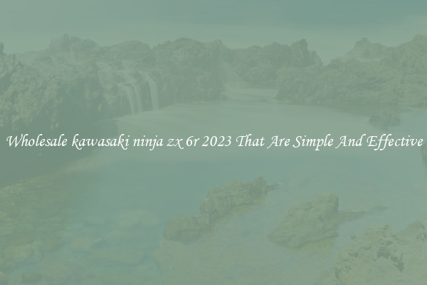 Wholesale kawasaki ninja zx 6r 2023 That Are Simple And Effective