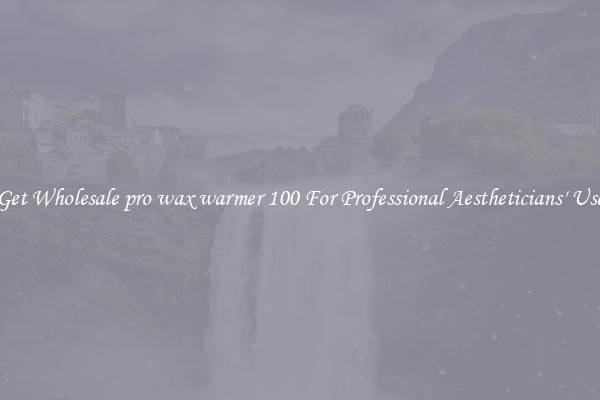 Get Wholesale pro wax warmer 100 For Professional Aestheticians' Use
