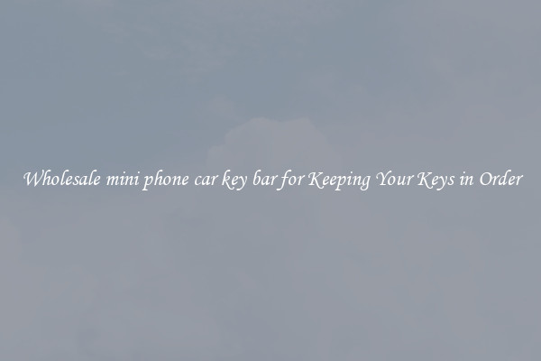 Wholesale mini phone car key bar for Keeping Your Keys in Order