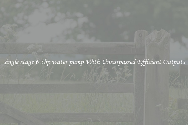 single stage 6 5hp water pump With Unsurpassed Efficient Outputs