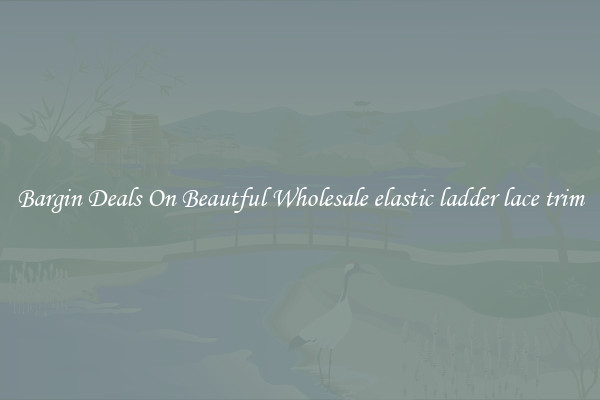 Bargin Deals On Beautful Wholesale elastic ladder lace trim