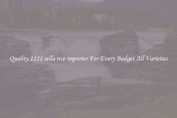 Quality 1121 sella rice importer For Every Budget All Varieties