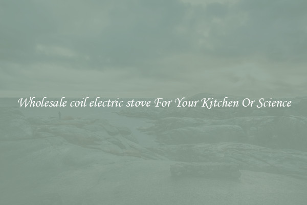 Wholesale coil electric stove For Your Kitchen Or Science