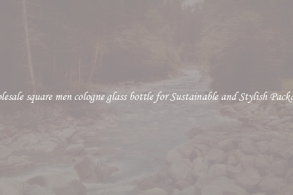 Wholesale square men cologne glass bottle for Sustainable and Stylish Packaging