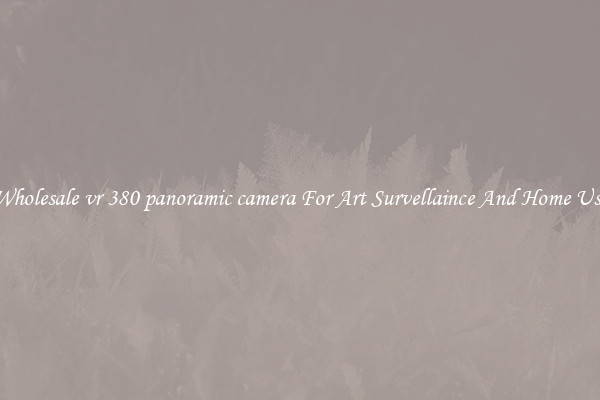 Wholesale vr 380 panoramic camera For Art Survellaince And Home Use