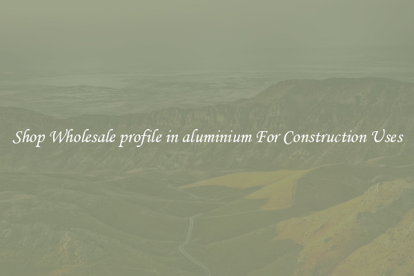 Shop Wholesale profile in aluminium For Construction Uses