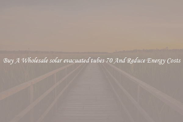 Buy A Wholesale solar evacuated tubes 70 And Reduce Energy Costs