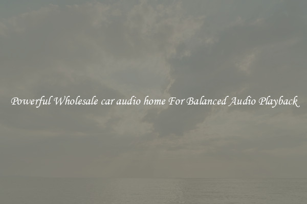 Powerful Wholesale car audio home For Balanced Audio Playback