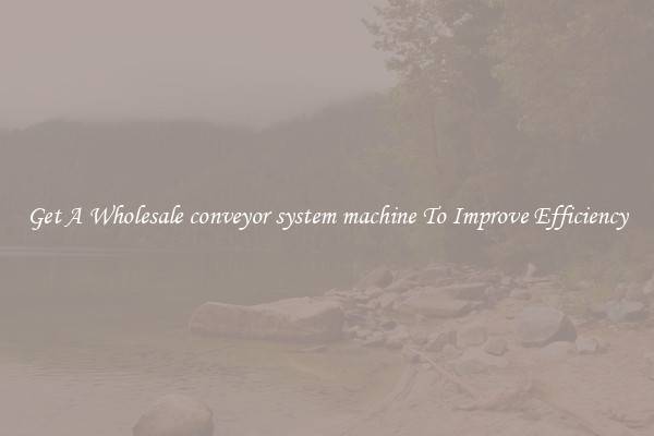 Get A Wholesale conveyor system machine To Improve Efficiency