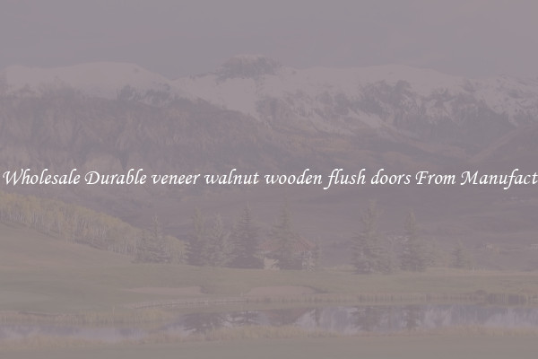 Buy Wholesale Durable veneer walnut wooden flush doors From Manufacturers