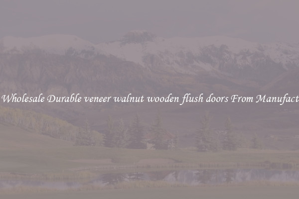 Buy Wholesale Durable veneer walnut wooden flush doors From Manufacturers