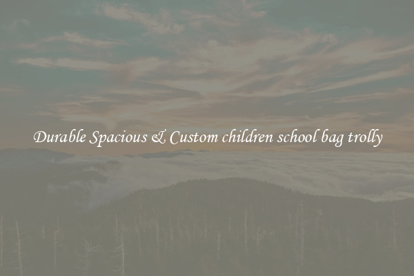 Durable Spacious & Custom children school bag trolly