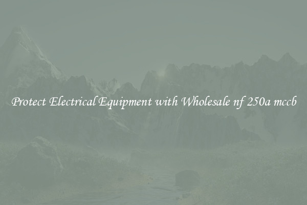 Protect Electrical Equipment with Wholesale nf 250a mccb