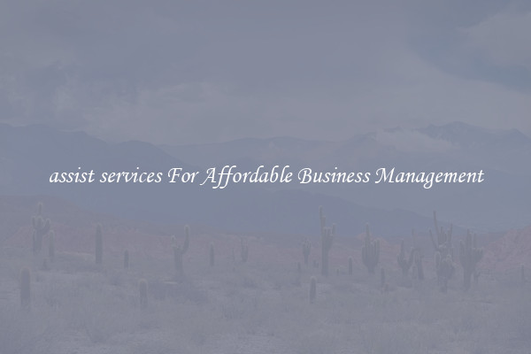 assist services For Affordable Business Management