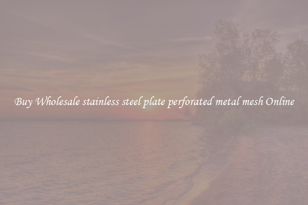 Buy Wholesale stainless steel plate perforated metal mesh Online