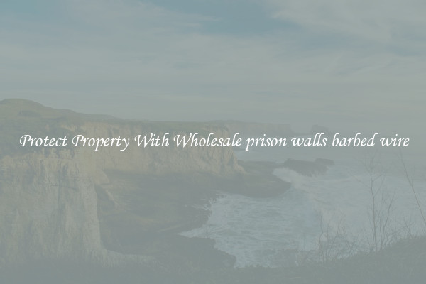 Protect Property With Wholesale prison walls barbed wire